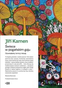 Książka : Świece w p... - Jiří Kamen