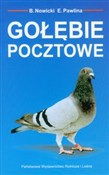 Polska książka : Gołębie po... - Bolesław Nowicki, Edward Pawlina
