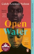 Open Water... - Caleb Azumah Nelson -  polnische Bücher