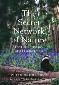 Obrazek The Secret Network of Nature