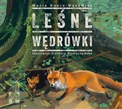 Leśne wędr... - Maria Dunin-Wąsowicz -  Książka z wysyłką do Niemiec 