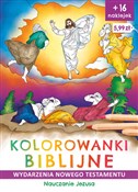 Polska książka : Kolorowank... - Natalia Ginalska, Anna Wiśnicka