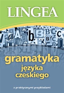 Obrazek Gramatyka języka czeskiego