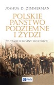 Polskie Pa... - Joshua D. Zimmerman - buch auf polnisch 