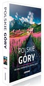 Polskie gó... - Malwina Flaczyńska, Agnieszka Flaczyńska, Artur Flaczyński -  Polnische Buchandlung 