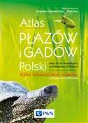 Atlas płaz... - Zbigniew Głowaciński, Piotr Sura -  Książka z wysyłką do Niemiec 