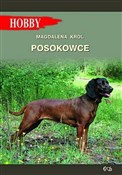 Posokowce - Magdalena Król -  fremdsprachige bücher polnisch 