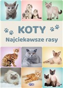 Książka : Koty Najci... - Opracowanie Zbiorowe