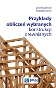 Książka : Przykłady ... - Lech Rudziński, Andrzej Kroner