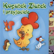 Kogutek Zi... - Małgorzata Porębska - buch auf polnisch 