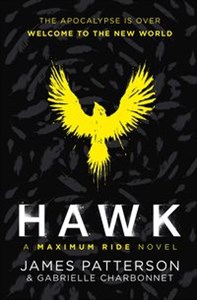 Bild von Hawk A Maximum Ride Novel