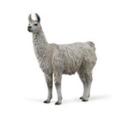 Polnische buch : Lama