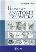 Podstawy a... - Bogusław K. Gołąb - buch auf polnisch 