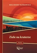 Polnische buch : Ziele na k... - Melchior Wańkowicz