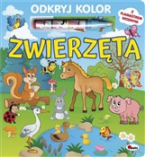 Zobacz : Odkryj kol... - Mirosława Kwiecińska