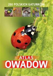 Bild von Atlas owadów 250 polskich gatunków