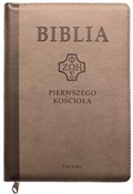 Polska książka : Biblia Pie... - Remigiusz Popowski SDB ks.