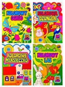 Kolorowank... -  polnische Bücher