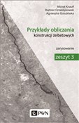 Przykłady ... - Michał Knauff, Agnieszka Golubińska, Bartosz Grzeszykowski -  Polnische Buchandlung 