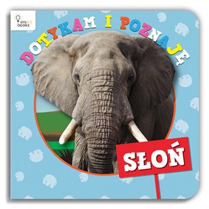 Obrazek Dotykam i Poznaję Słoń