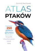 Atlas ptak... - Dominik Marchowski -  Polnische Buchandlung 