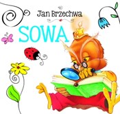 Sowa - Jan Brzechwa -  Książka z wysyłką do Niemiec 