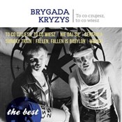 Polska książka : The best -... - Brygada Kryzys
