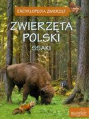 Zwierzęta ... - Elżbieta Zarych - buch auf polnisch 