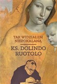 Zobacz : Tak widzia... - Dolindo Ruotolo