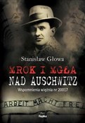 Polnische buch : Mrok i mgł... - Stanisław Głowa
