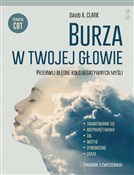 Polska książka : Burza w tw... - David A. Clark