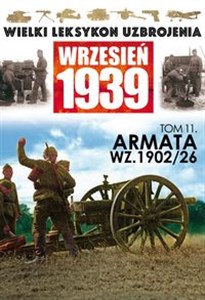 Obrazek Armata WZ 1902/26