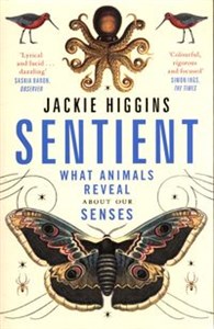 Bild von Sentient What Animals Reveal About Our Senses
