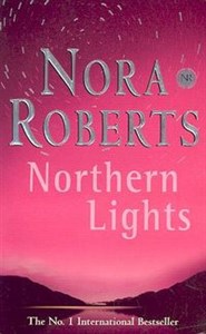 Bild von Northern Lights