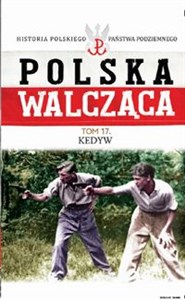 Bild von Polska Walcząca Tom 17 Kedyw