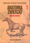Anatomia z... - Kazimierz Krysiak, Henryk Kobryń, Franciszek Kobryńczuk - Ksiegarnia w niemczech