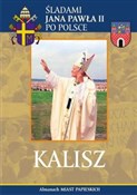 Kalisz Śla... -  polnische Bücher