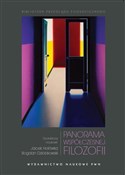 Książka : Panorama w... - Bogdan Dziobkowski, Jacek Hołówka