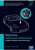 Polnische buch : Naprawa el... - Paweł Fabiś, Przemysław Kubiak