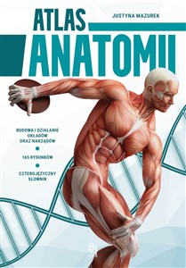 Obrazek Atlas anatomii