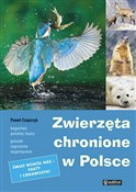 Zwierzęta ... - Paweł Czapczyk -  Książka z wysyłką do Niemiec 
