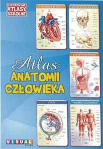 Bild von Ilustrowany atlas szkolny.Atlas anatomii człowieka