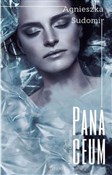 Panaceum - Agnieszka Sudomir -  polnische Bücher