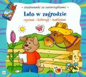 Polnische buch : Lato w zag... - Agnieszka Bator