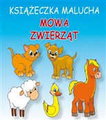 Polska książka : Książeczka... - Krystian Pruchnicki, Emilia Majchrzyk