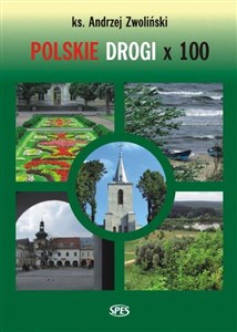 Obrazek Polskie Drogi x 100