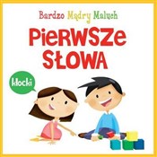 Pierwsze s... - Katarzyna Nowowiejska -  polnische Bücher