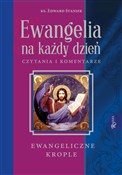 Polnische buch : Ewangelia ... - Edward Staniek