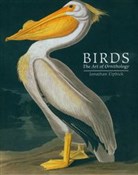 Birds - Jonathan Elphick -  polnische Bücher