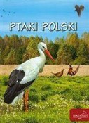 Ptaki Pols... - Elżbieta Zarych -  polnische Bücher